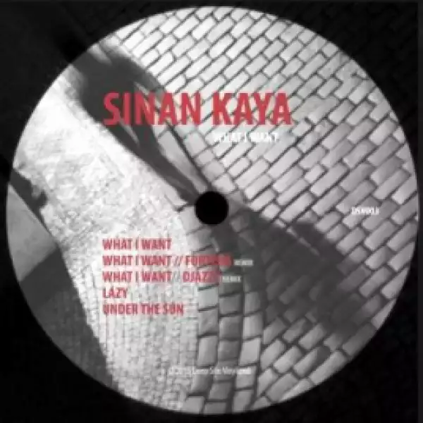 Sinan Kaya - Ain’t Enough (Original Mix)
